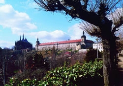 Obrázek