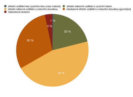 Kruhový diagram procentuálního počtu žáků na různých typech škol